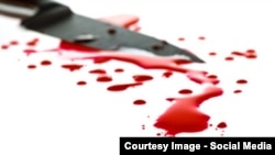 Иллюстративное фото 