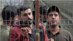 Belarus Accused Of 'Provocation' As Record Numbers Of Illegal Migrants Reach Lithuania