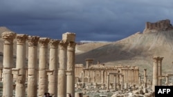 Palmiri prijeti uništenje