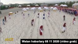 Искусственное хлопковое поле в Туркменистане - инсталляция в честь праздника урожая. Фото из репортажа государственного телевидения.