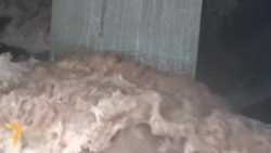 Miljacka prijeti da se izlije iz korita