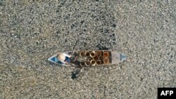 Ribar skuplja mrtvu ribu u provinciji Dong Nai u južnom Vijetnamu 30. aprila 2024. Stotine hiljada riba uginul0 je u rezervoaru u južnom Vijetnamu, u vrijeme žestokog toplotnog talasa