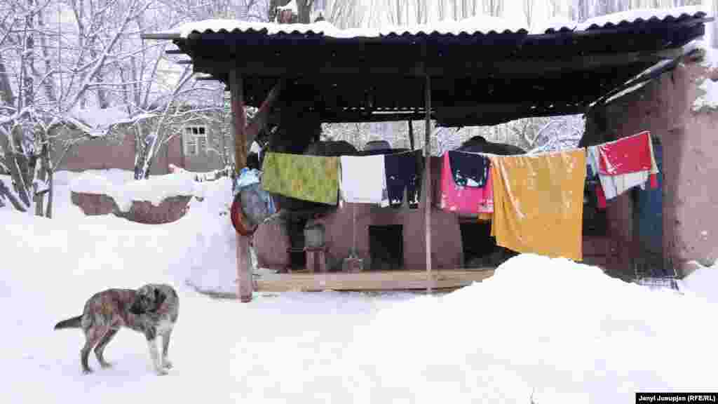 В каждом доме есть собака, но охранять им особенно незачем - здесь криминалитета практически нет.