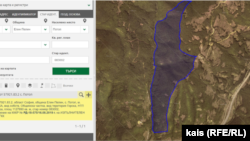 Общинската гора в ловно стопанство "Витиня"