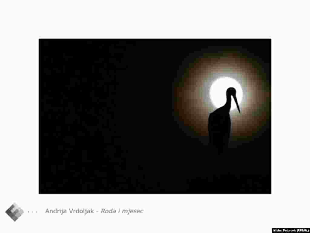 Fotografija "Roda i mjesec" Andrije Vrdoljaka