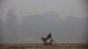A cyclist pushes his laden bike through smog, in Lahore on November 21
