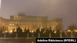 Consilul Național PSD