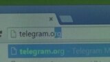 Telegram откроет представительство в Казахстане: власти страны добивались этого два года