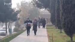 Идораи гумруки Суғд айбномаи азияти зани соҳибкорро рад кардааст