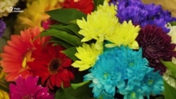 У Києві відбулася акція «Щастя не в'яне» (відео)