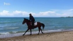 Брюховецкийлер таптаган аргымактар