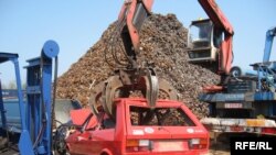 Reciklaža juga, Foto: Radovan Borović