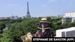 Nicolas Geant méhész Párizs ikonikus helyszínein méhészkedik. Itt épp a híres párizsi kiállítási csarnok, a Grand Palais tetején látható, de vannak méhkaptárjai a Notre Dame-on is, amik a csodával határos módon túlélték a 2019-es tűzvészt is.