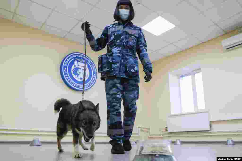 Az egyik kiképző munka közben a Seremetyevó Nemzetközi Repülőtéren.