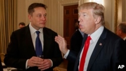 Илон Маск и Дональд Трамп, 2024 г.