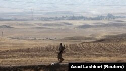 Ирактагы күрт аскери. 20-октябрь, 2017-жыл.
