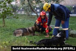 Собаки, які розшукують людей під завалами. Київ, 28 серпня 2025 року