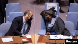 Съветът за сигурност на ООН беше свикан във връзка с кризата в Украйна