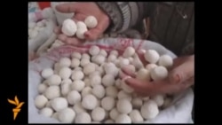 Ош: жүз түрдүү курут