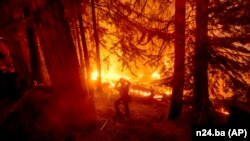 Pamje nga zjarret në Kaliforni.