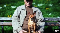 Според промените, приети на първо четене, малките кучета ще могат да се разхождат и без повод.