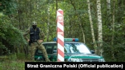 Раніше цього тижня Польща оголосила про плани збільшити кількість військових та охоронців на кордоні з Білоруссю