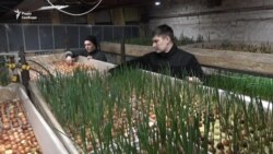 Із військових – у власники міні-ферми: як у Запоріжжі ветерани свій бізнес розвивають (відео)