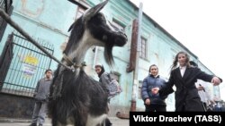 Comunitate de evrei hasidim în Ucraina.