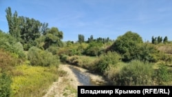 Обміліла річка Біюк-Карасу в Білогірську. Вересень 2025 року