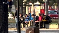 Egy iráni menekült Belgrádban: hajléktalanból lett hivatalos tolmács