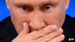 Володимир Путін, 19 грудня 2014 року