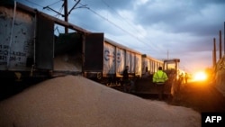 Importurile de grâu din Ucraina rămân una din marile nemulțumiri ale fermierilor polonezi, care se plâng de ceea ce consideră a fi o concurență neloială din partea colegilor ucraineni. În imagine: vagoane ucrainene atacate de fermieri la Kotomierz, 25 februarie 2024. 