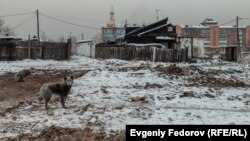 Кучета бродят по улиците на разнебитеният квартал на Кизил, където много хора живеят в разнебитени сгради без достъп до водопреносната мрежа, канализация или отопление