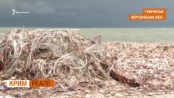 Кримський рибний промисел під російським прапором