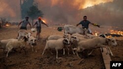 TURKEY-FIRE-ENVIRONMENT