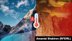 Коллаж сүрөт. 