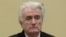 The Netherlands -- Former Bosnian Serb leader Radovan Karadzic appears before the Appeals Chamber of the International Residual Mechanism for Criminal Tribunals ("Mechanism") ruling on a appeal of his 40 year sentence for war crimes in The Hague, Netherla