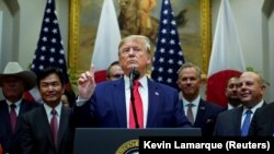 Presidenti amerikan, Donald Trump.