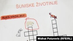 Bijeli medvjed i pauk svrstani su u jednom udžbeniku u šumske životinje