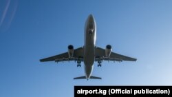 Иллюстрациялык сүрөт. 