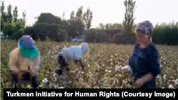 Источник: Turkmen Initiative for Human Rights