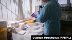 Иллюстрациялык сүрөт.