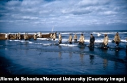 Peshkatarët duke punuar në cekëtinat e Detit Kaspik, në veri të Iranit.