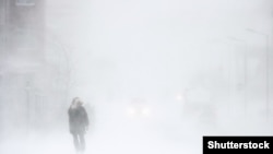 Иллюстрациялык сүрөт.