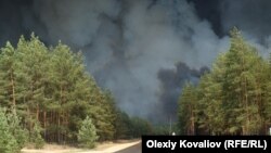 Напередодні лісову пожежу вдалося локалізувати