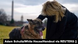 Kutyák és elnöki ereklyék: így néz ki az új Ovális Iroda