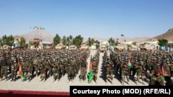 В Афганістані зараз можуть бути від 20 до 30 тисяч колишніх командос, яким не вдалося евакуюватися до західних країн