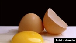 Кыргызстанга Кытайдан жумуртка алып келүүгө убактылуу тыюу салынды