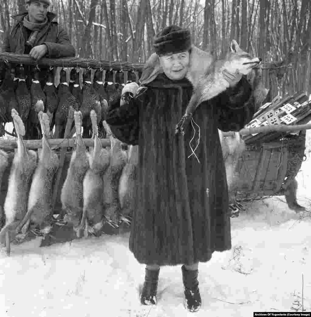 &bdquo;Госпоѓа Пусанов&ldquo;, сопругата на советскиот амбасадор Александар Пусанов, покажува свежо убиена лисица &bdquo;за која мисли дека е добра за крзнен шал&ldquo;, Караѓорѓево. Во ловечките експедиции во Караѓорѓево беше вклучен високиот дипломатски кор стациониран во Белград.