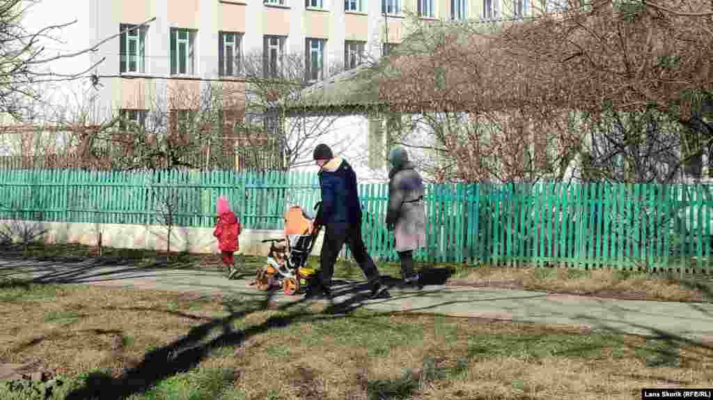 Домашние куры &laquo;пасутся&raquo; в кустах на бульваре